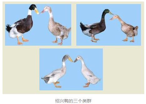 微信截图_20200305104009.png