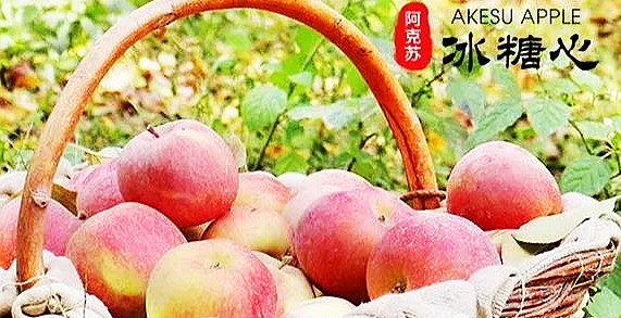 微信图片_20210401101202_副本.jpg