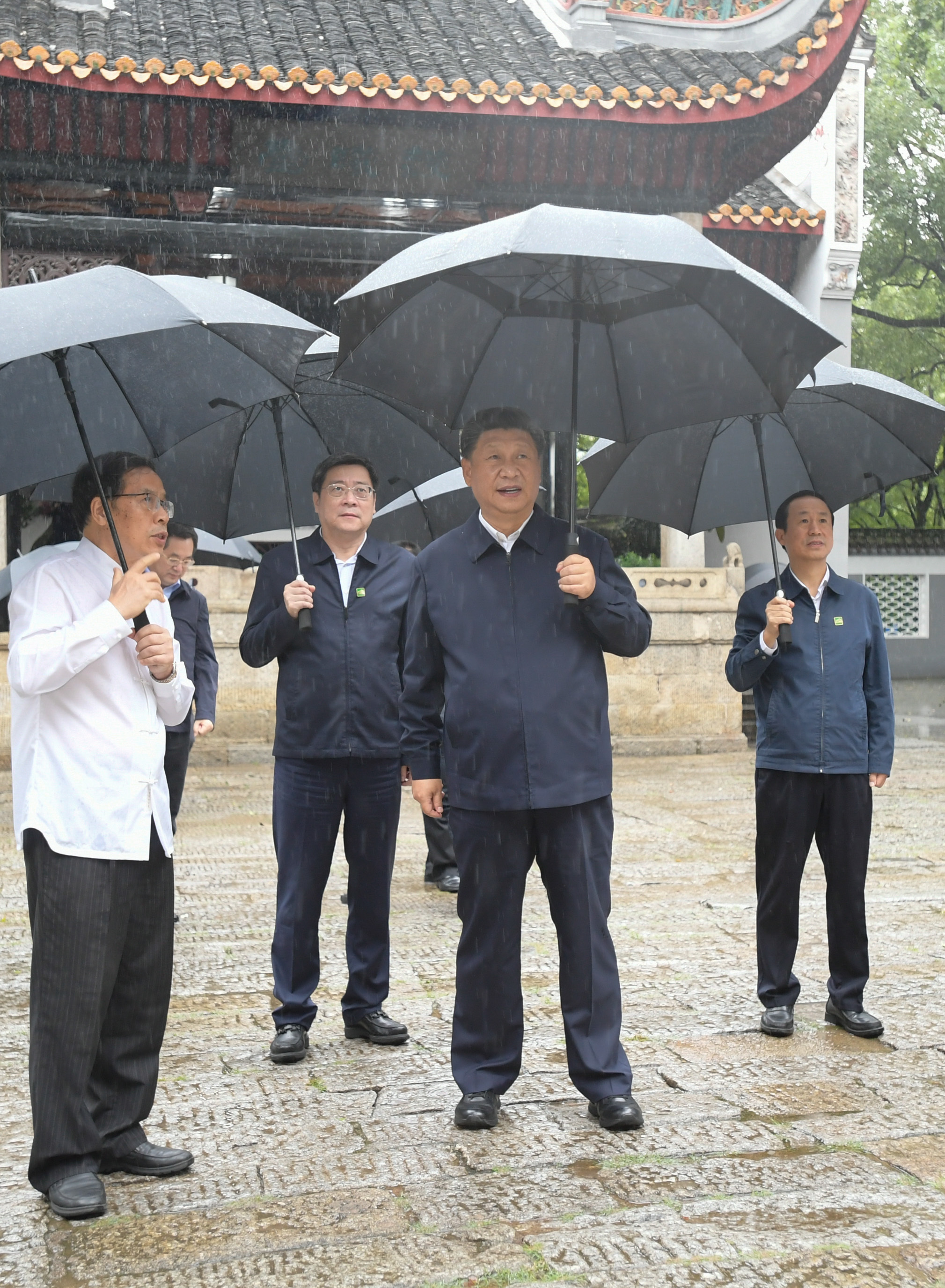 一见·从一株草药望向五千年历史长河，听总书记谈传统文化