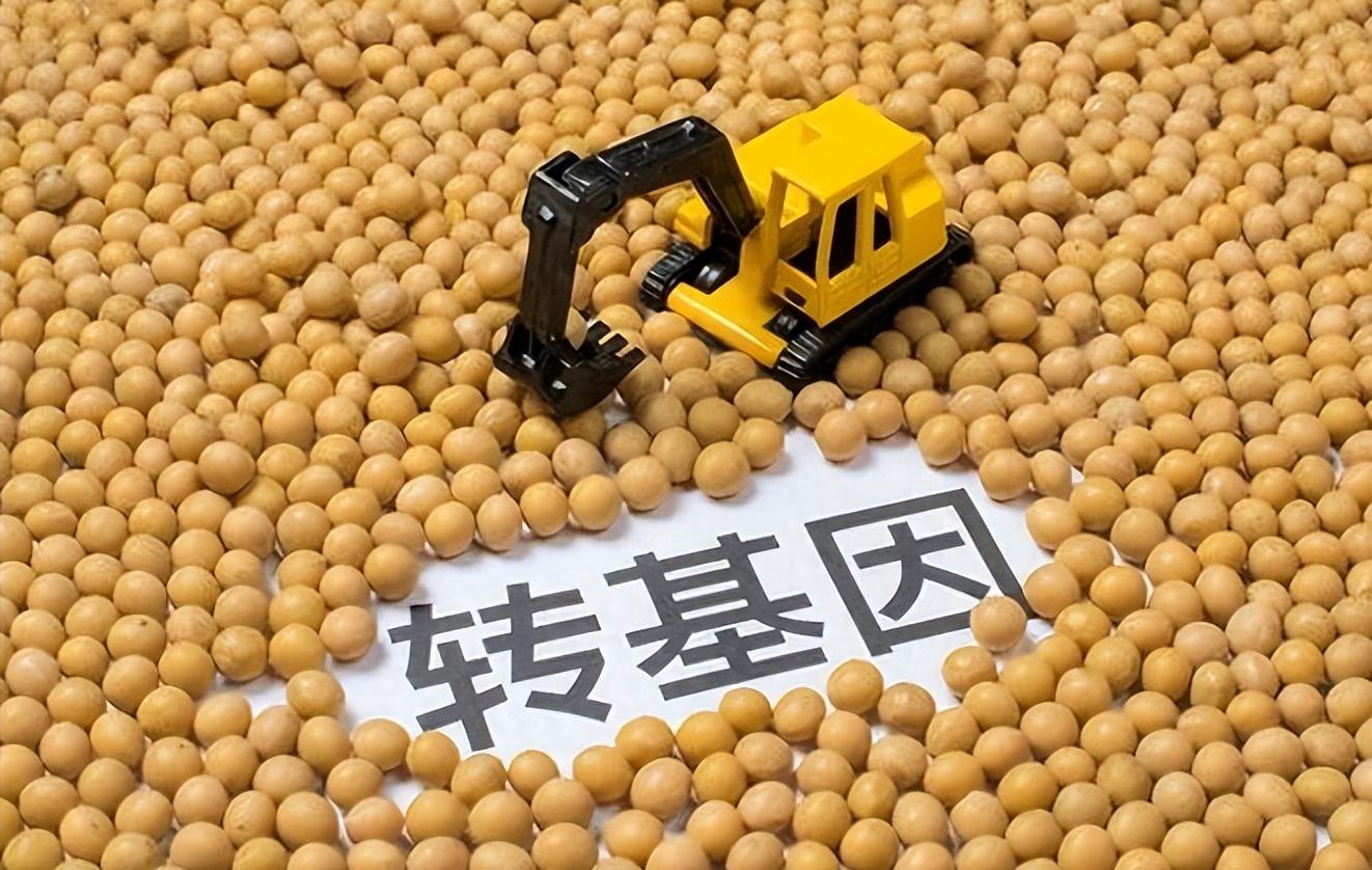 欧洲议会或将禁止为转基因植物授予专利