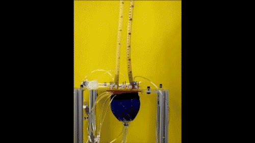 640.gif