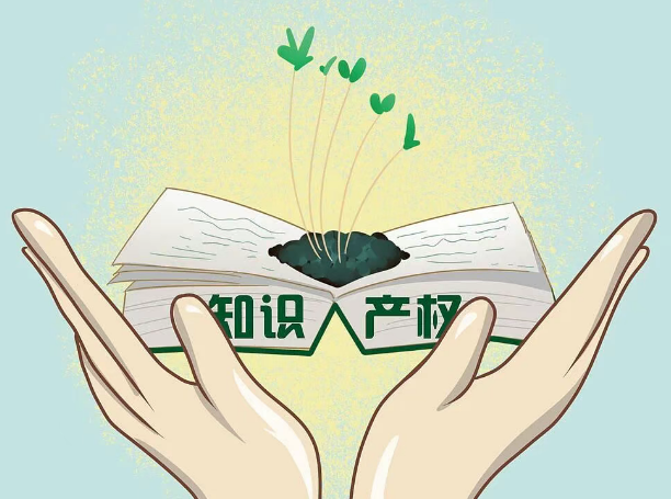 全国人大代表、太平鸟集团董事长张江平:建议改进电商平台知识产权保护机制
